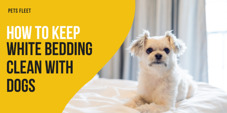 How To Keep White Bedding Clean With Dogs – Step-by-Step Guide