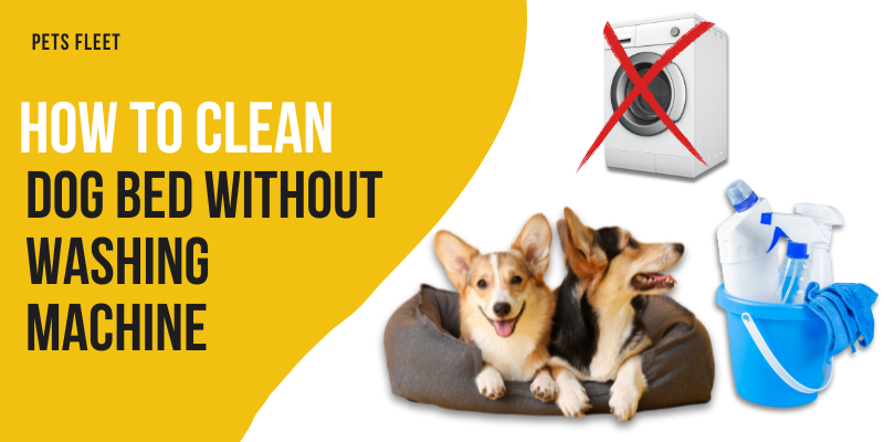 How to clean dog bed without washing machine
