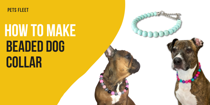How to make beaded dog collar