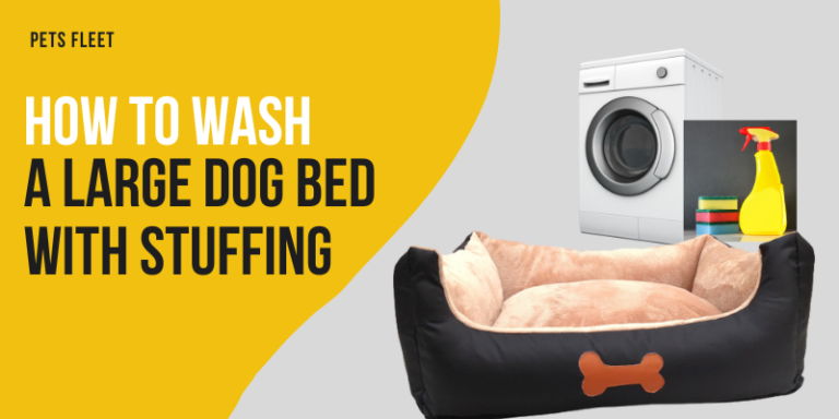 How To Wash A Large Dog Bed With Stuffing – 5 Simple Steps