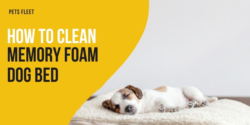 How to clean memory foam dog bed