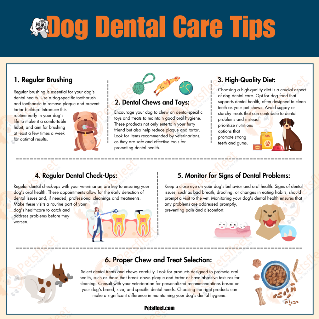 How to Provide Complete Dental Care for Your Dog at Home
