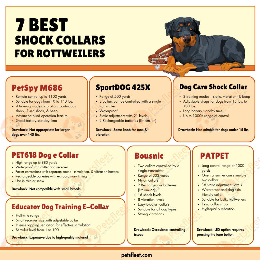 Best training collar for rottweilers