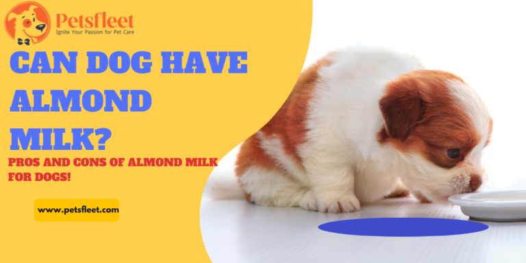 Can Dog Have Almond Milk? Pros and Cons of Almond Milk for Dogs