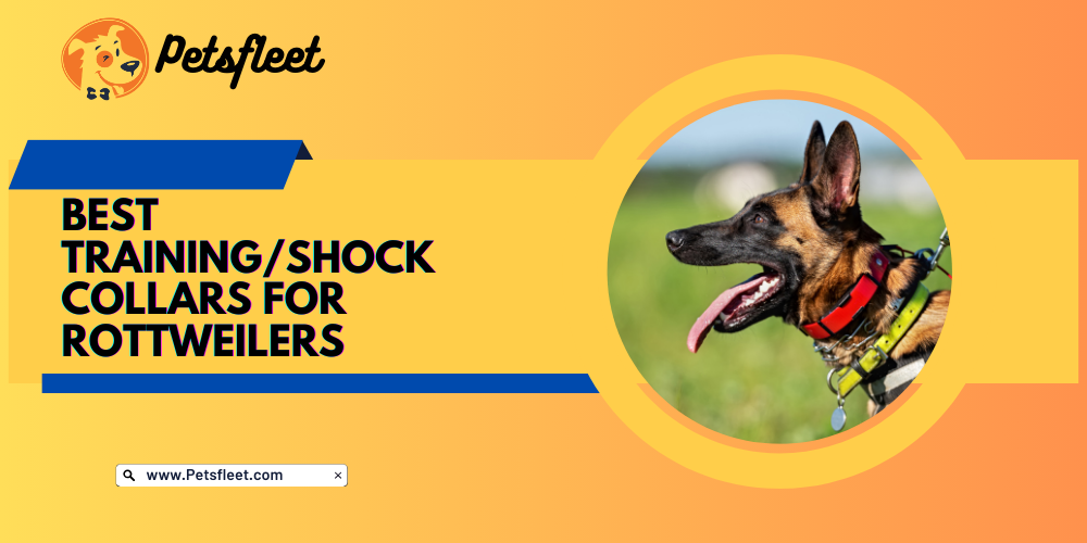 7 Best Training/Shock Collars for Rottweilers [September 2023]