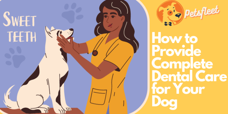 How to Provide Complete Dental Care for Your Dog at Home