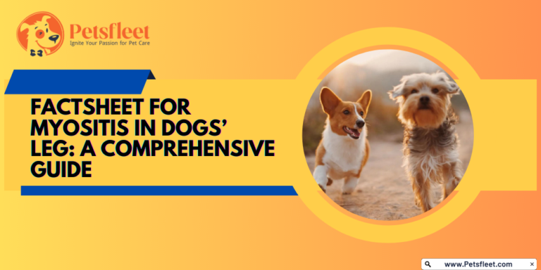 Factsheet for Myositis in dogs’ leg: A Comprehensive Guide