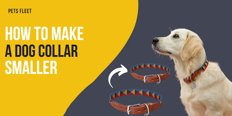 How to make a dog collar smaller