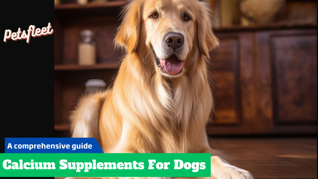 A Comprehensive Guide on Best Calcium Supplements For Dogs