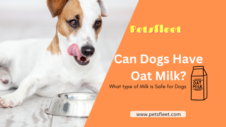 Can Dogs Have Oat Milk? Benefits, Risks, & Safe Consumption Guidelines