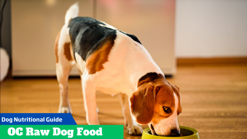 Unleashing the Power of OC Raw Dog Food: A Nutrient-Packed Feast for Your Canine Fellow