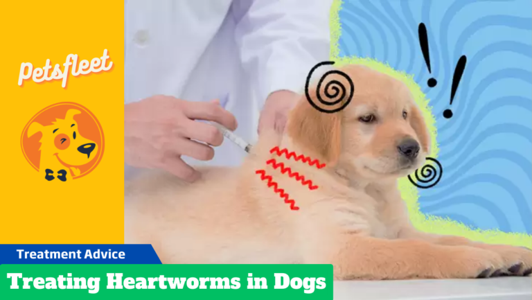 Treating Heartworms in Dogs and How is Disease Treated?